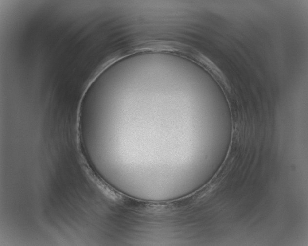 X0000075411378200609080950
