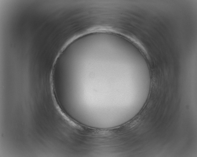X0000075411382200609080950