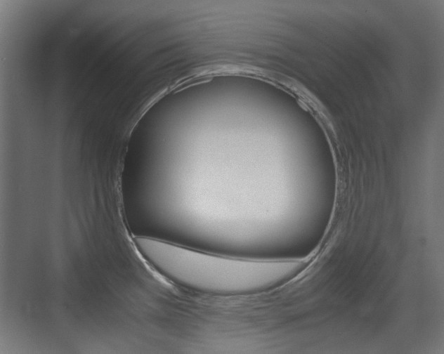 X0000075411385200609080950
