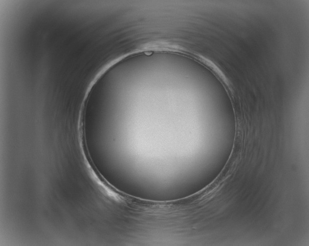 X0000075411387200609080950