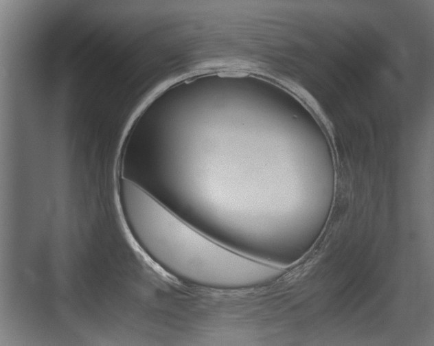 X0000075411389200609080950