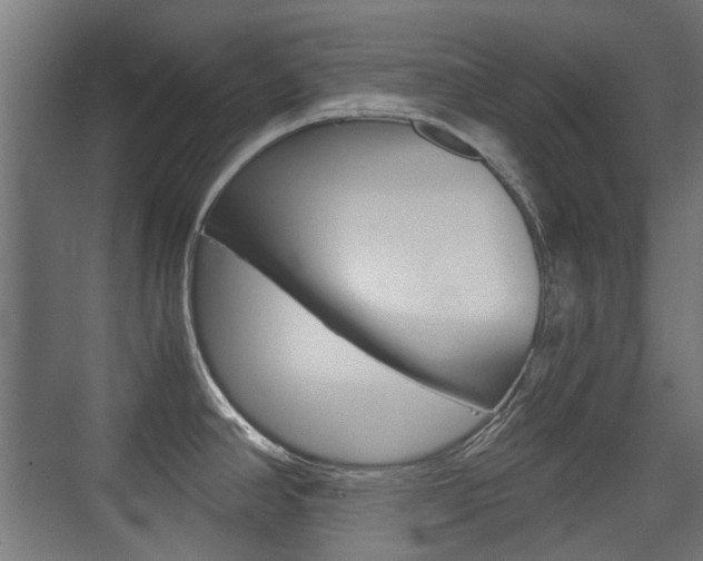 X0000075411390200609080950
