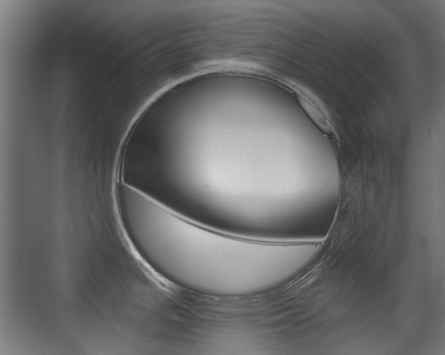 X0000075411391200609080950
