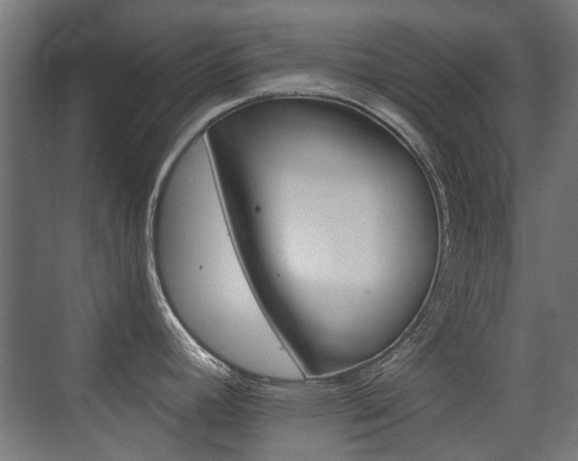 X0000075411392200609080950
