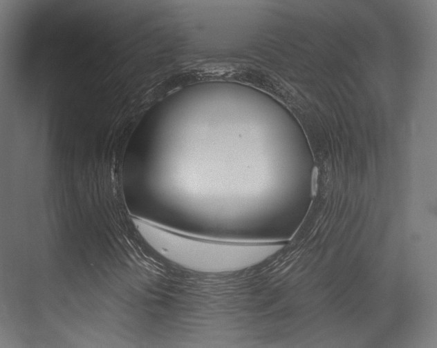 X0000075411394200609080949