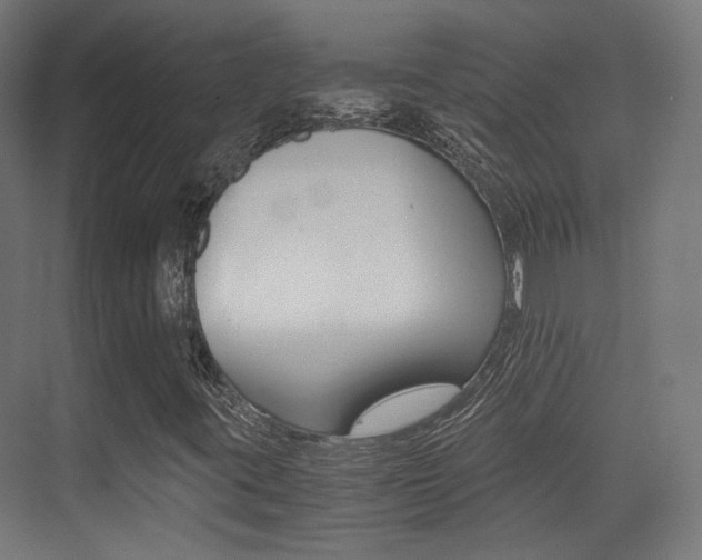 X0000075411395200609080949