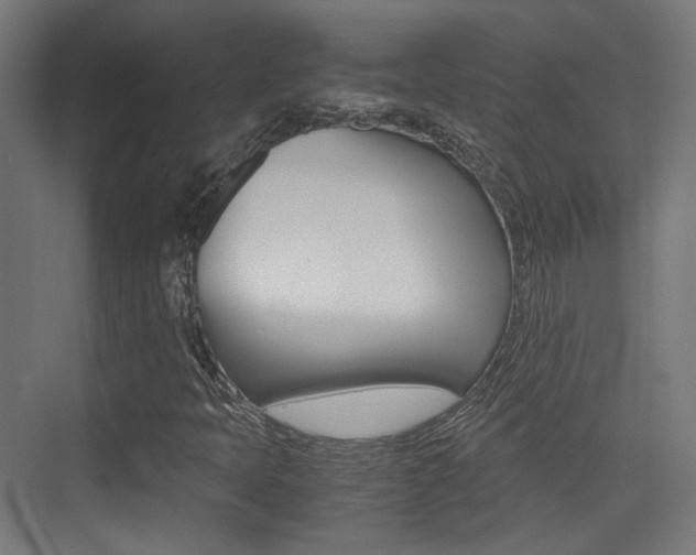 X0000075411397200609080949