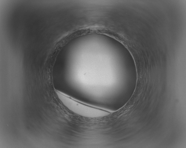 X0000075411398200609080949