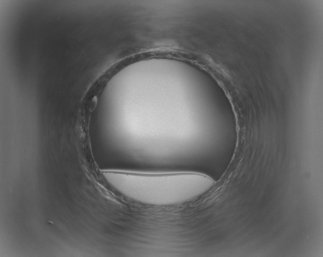 X0000075411400200609080949