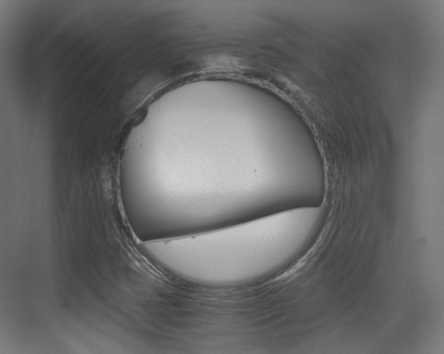X0000075411401200609080949
