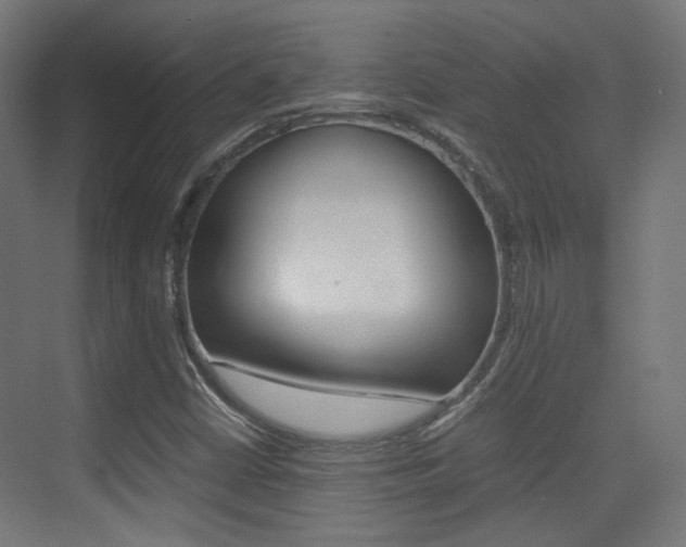 X0000075411402200609080949