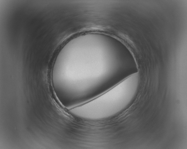 X0000075411404200609080949