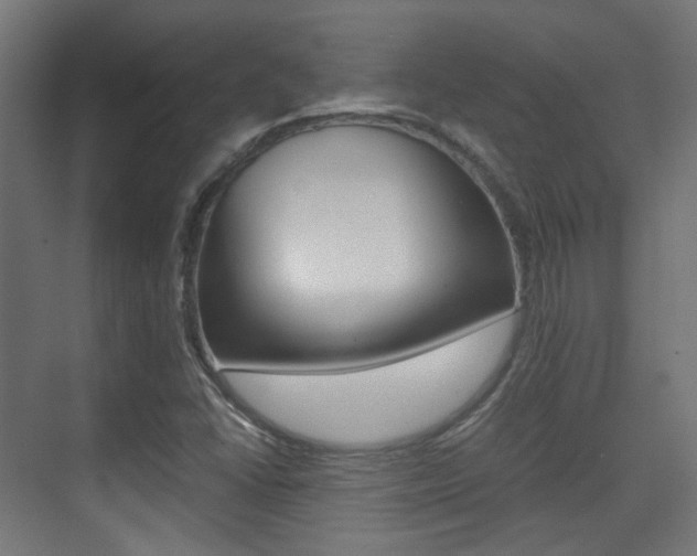 X0000075411406200609080950