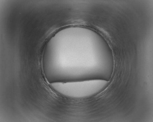 X0000075411407200609080950