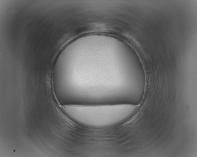 X0000075411409200609080950