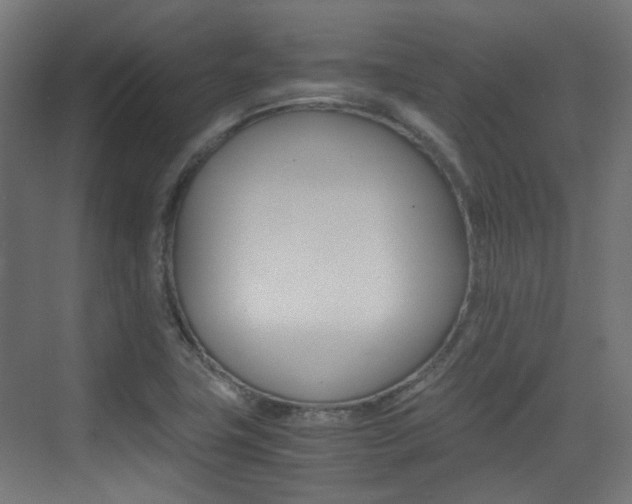 X0000075411411200609080950