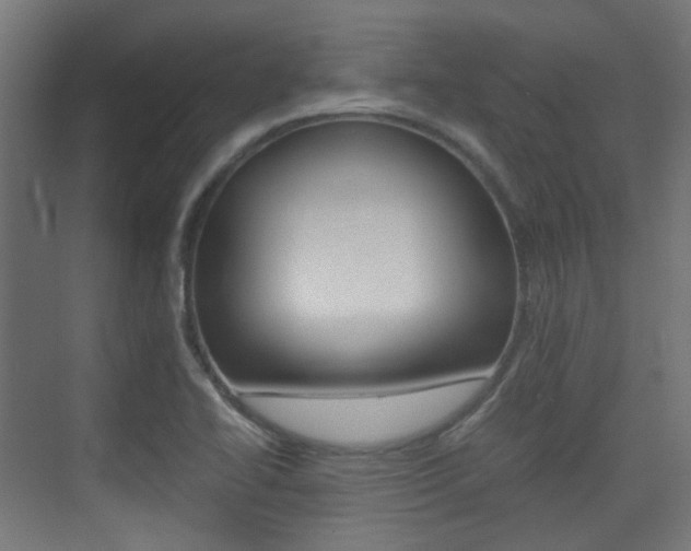 X0000075411414200609080950