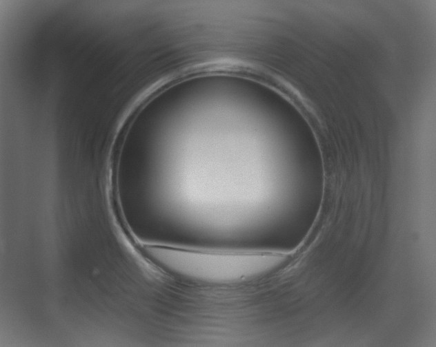 X0000075411418200609080950