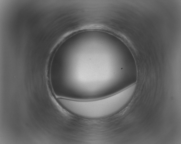 X0000075411422200609080950