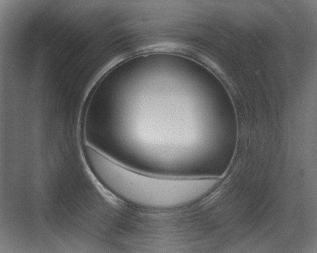 X0000075411426200609080950