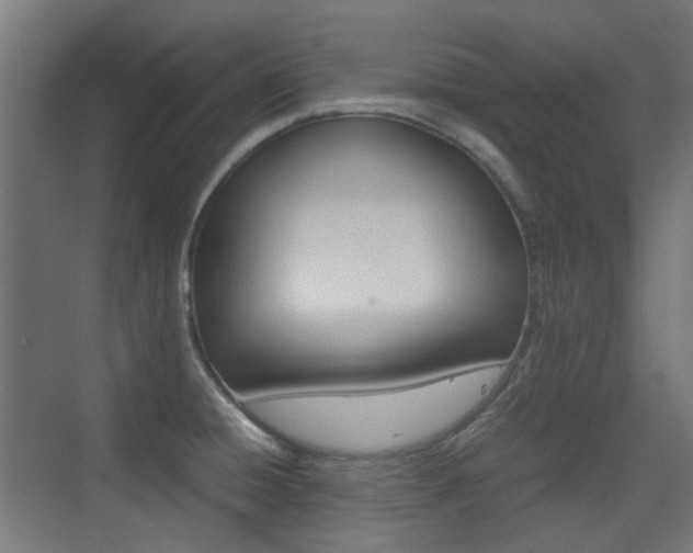 X0000075411428200609080950