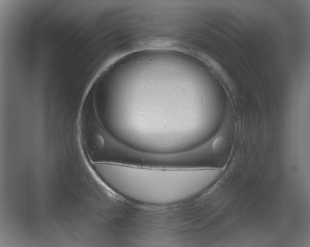X0000075411432200609080950