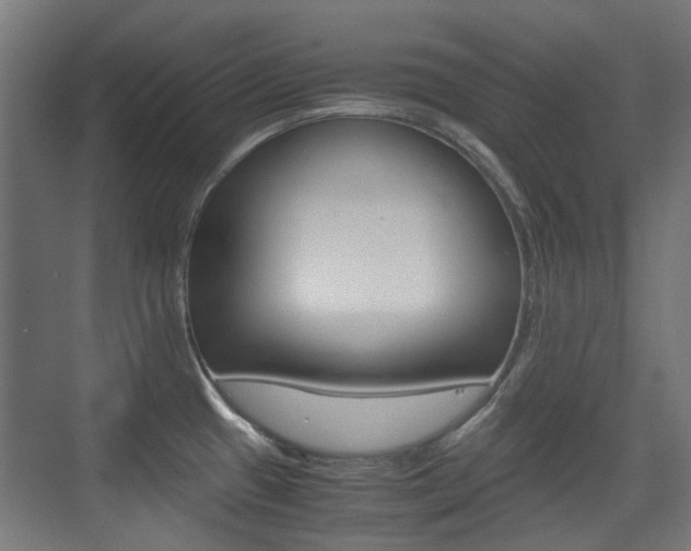X0000075411433200609080950