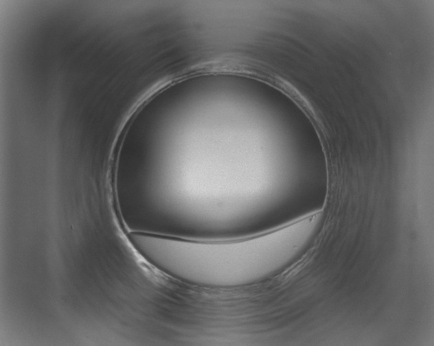 X0000075411434200609080950