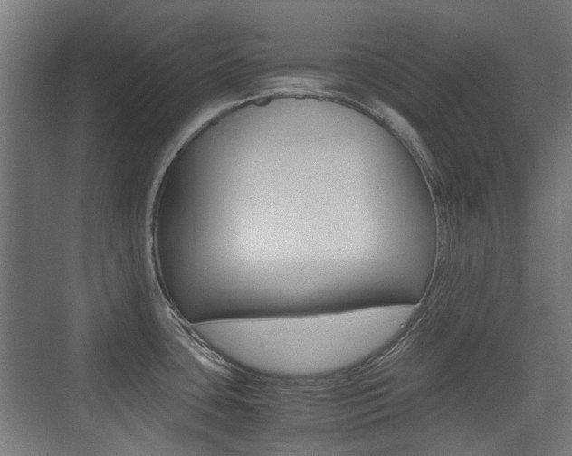 X0000075411435200609080950