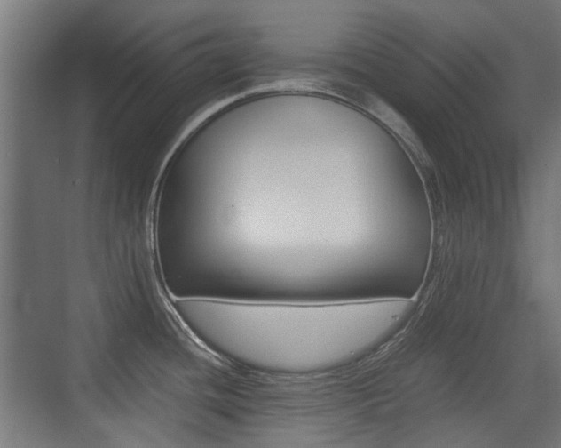 X0000075411436200609080950