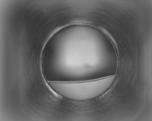 X0000075411437200609080950