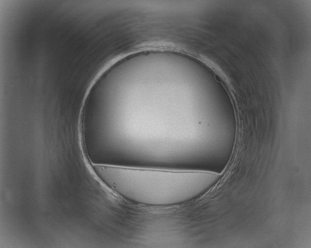 X0000075411440200609080950