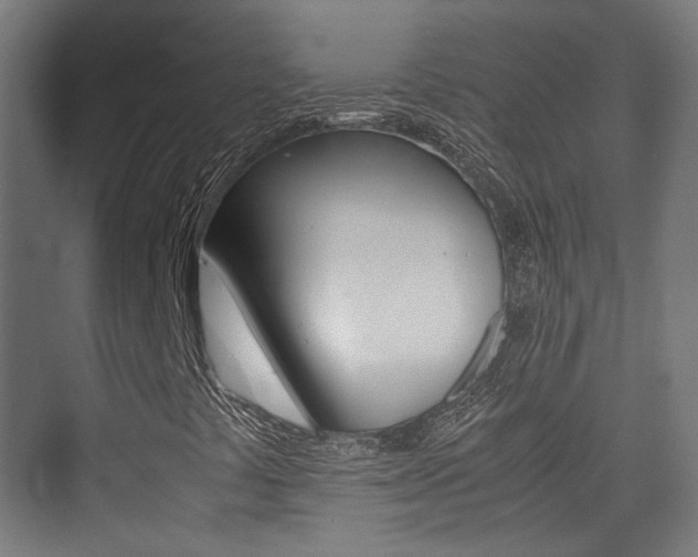 X0000075411441200609080949