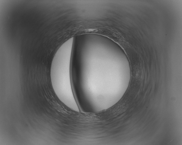 X0000075411442200609080949