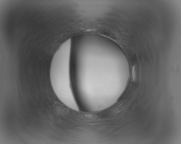 X0000075411443200609080949