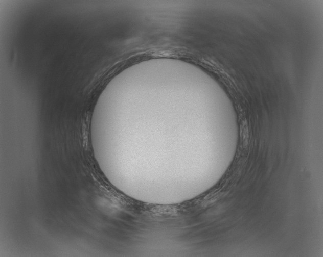 X0000075411446200609080949