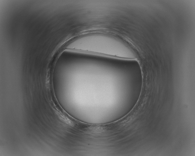 X0000075411450200609080949