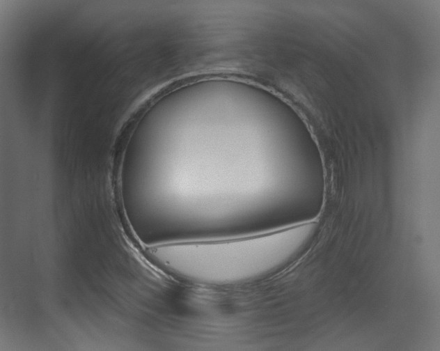 X0000075411452200609080949