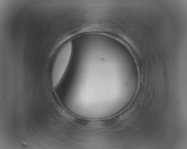 X0000075411453200609080949