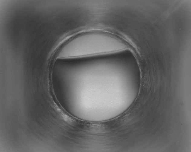 X0000075411456200609080949