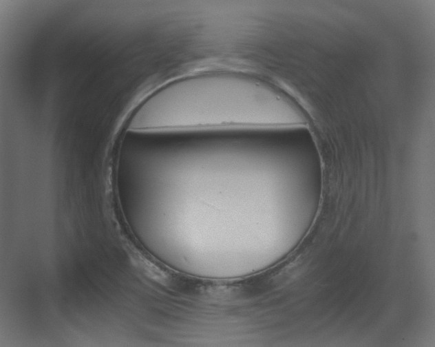 X0000075411459200609080949