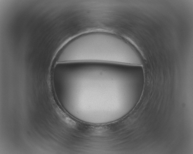 X0000075411460200609080949