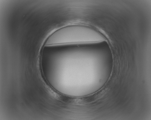 X0000075411463200609080949