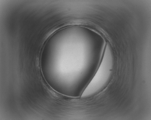 X0000075411465200609080949
