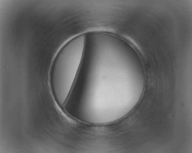 X0000075411468200609080949