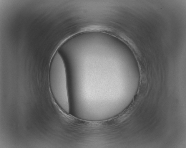 X0000075411473200609080949