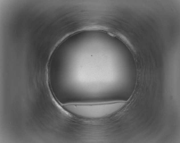 X0000075411476200609080949