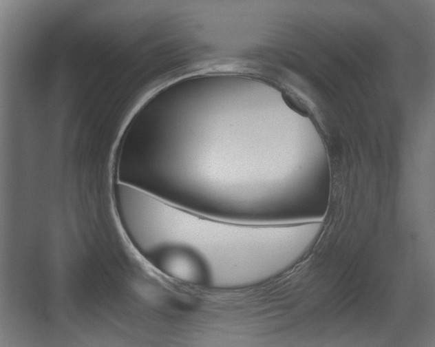 X0000075411483200609080949