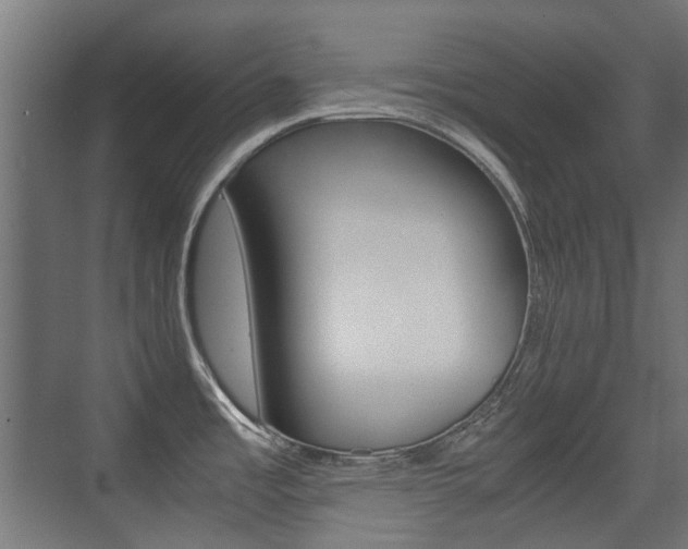 X0000075411485200609080949