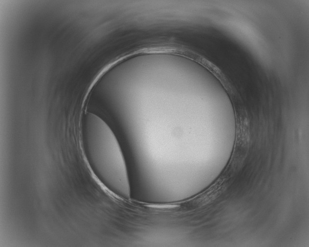 X0000075411487200609080948